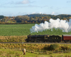 2968 ascends Eardington Bank on a loaded test train, putting on a fine display. Credit: John Oates